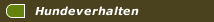 Hundeverhalten